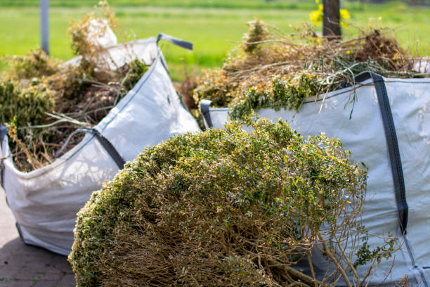 Best Hoarding Cleanup  in Franklin Park, IL